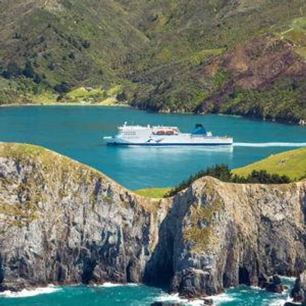 Cook Strait Ferry Wellington to Picton (Honeymoon)