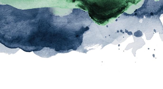 Footer image