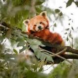 Activities & Attractions on Funen