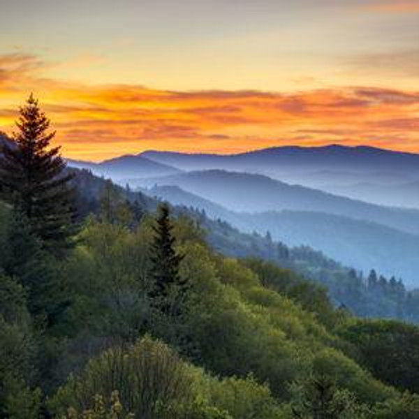 Honeymoon in the Smoky Mountains