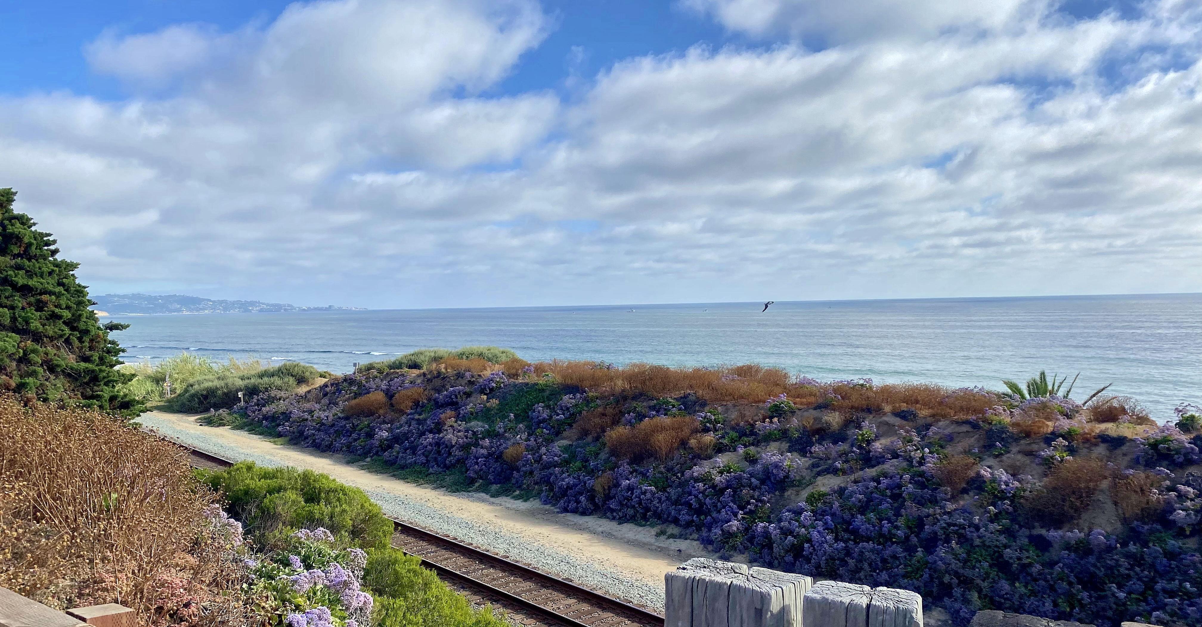 The Wedding Website of Alejandro Gozalo and Korrie Mack