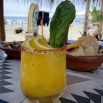 Barracuda Cantina