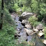Deer Creek Tribute Trail