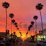Ocean Beach