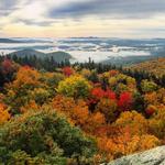 Mt. Morgan