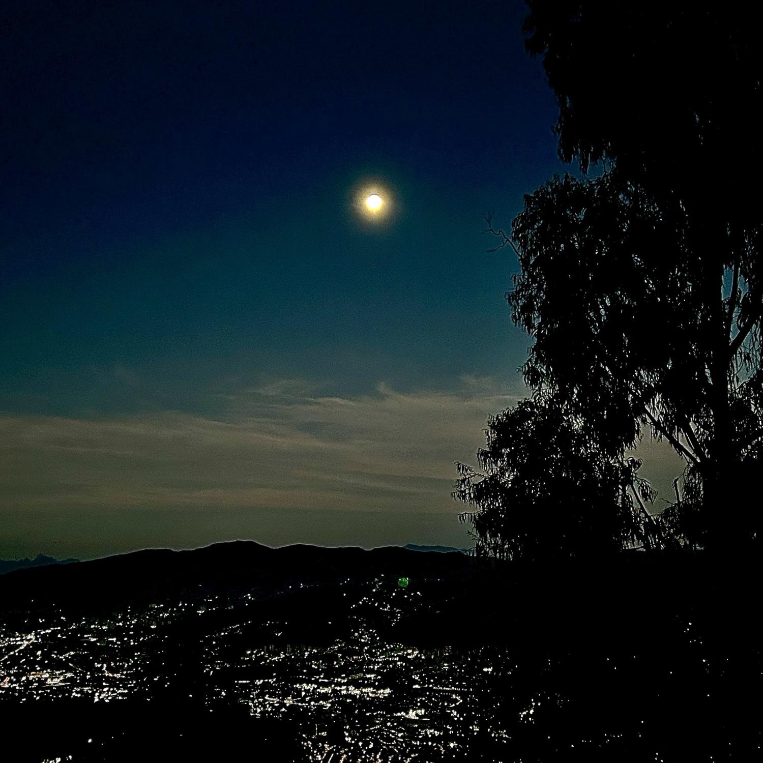 That scary cabin? This is the view!