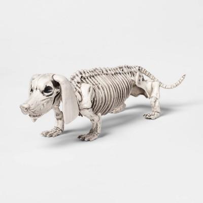Dachshund Skeleton Decorative Halloween Prop - Hyde &#38; EEK! Boutique&#8482;