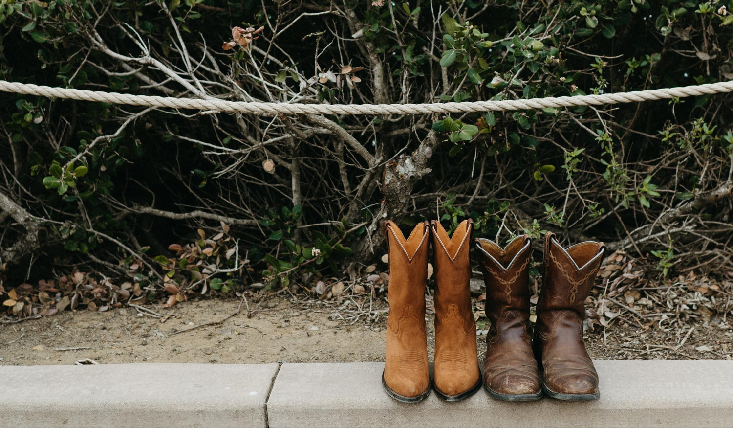 The Wedding Website of Natalie Root and Nicholas Halbach