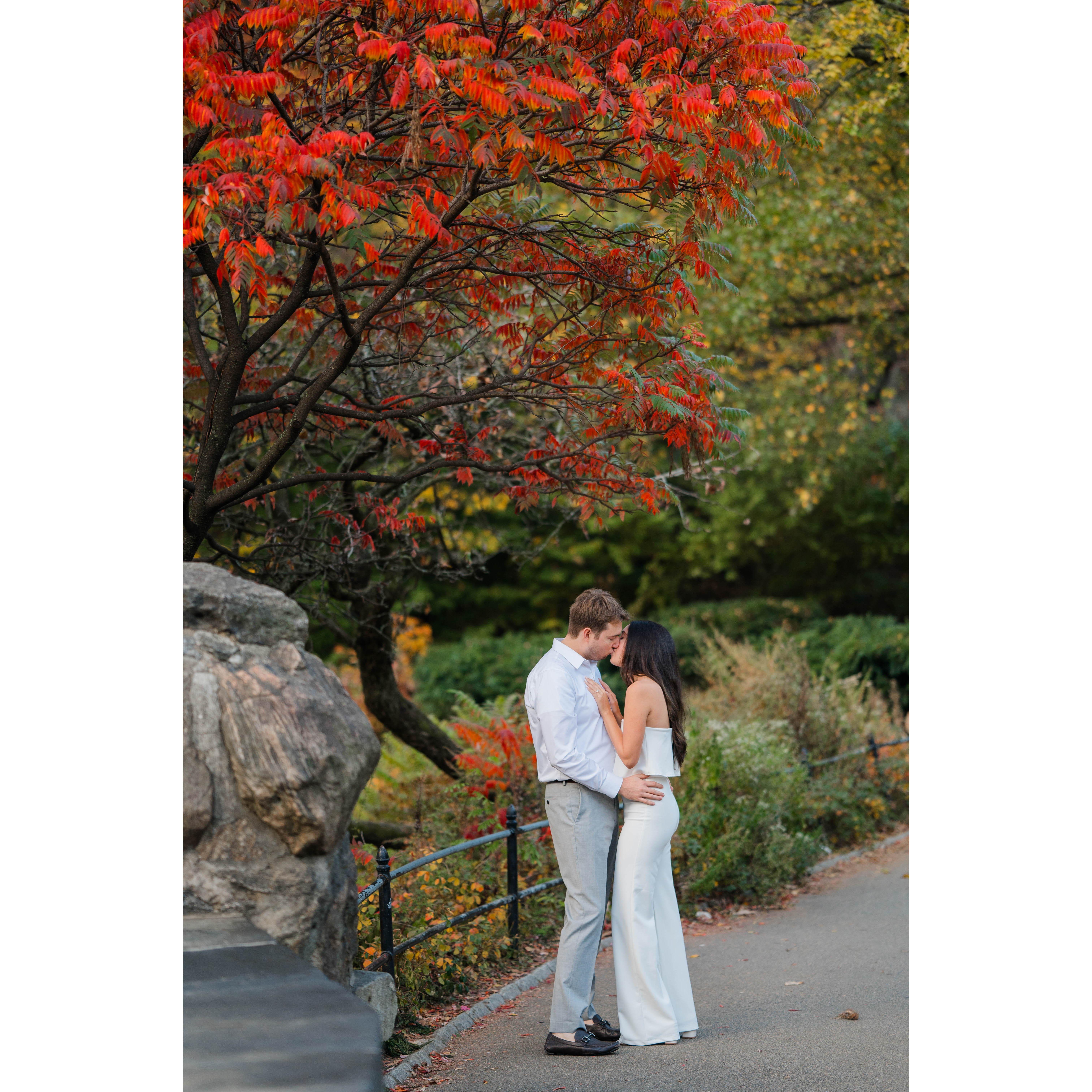 Central Park in the the Fall