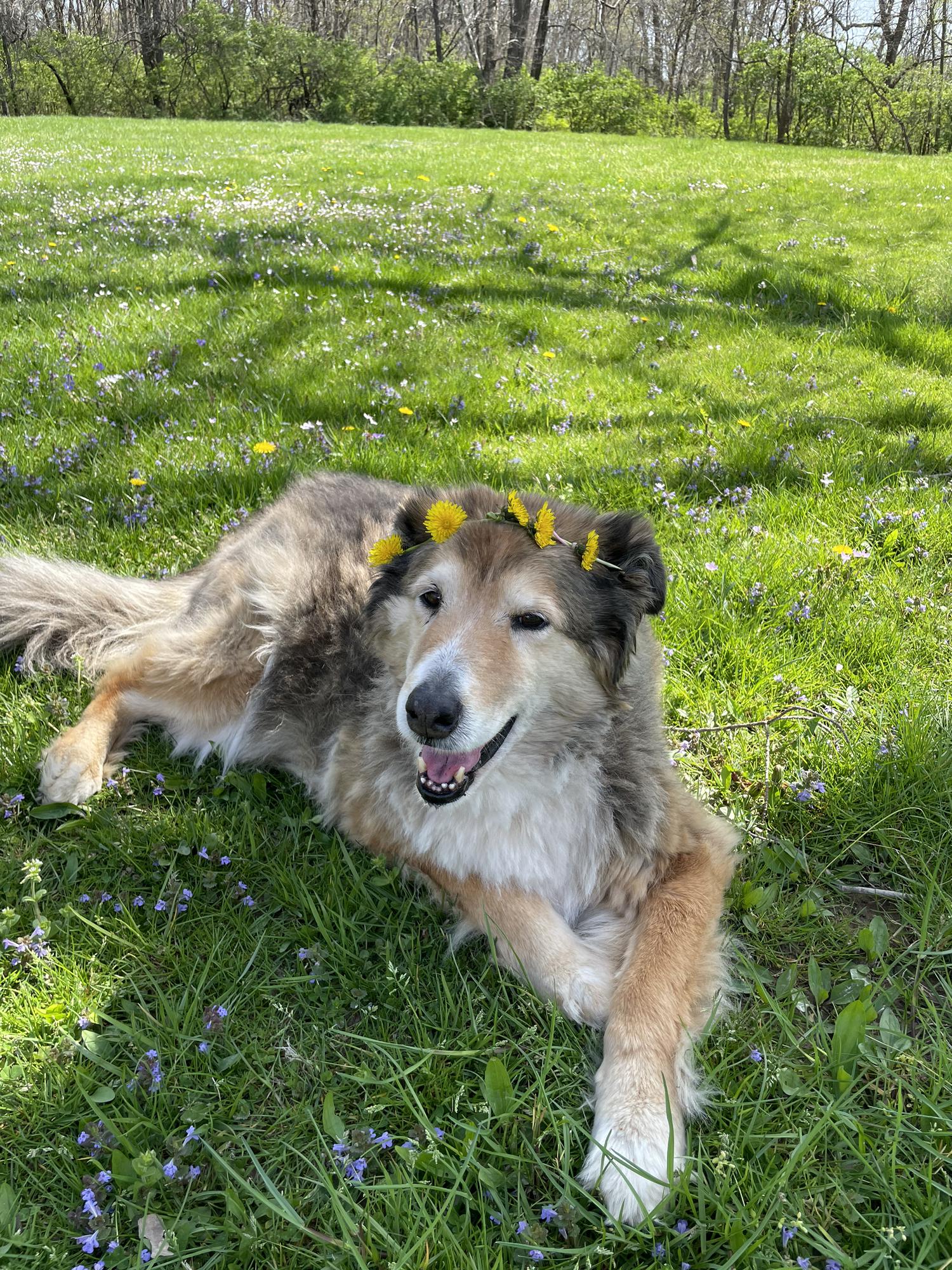 Sally girl