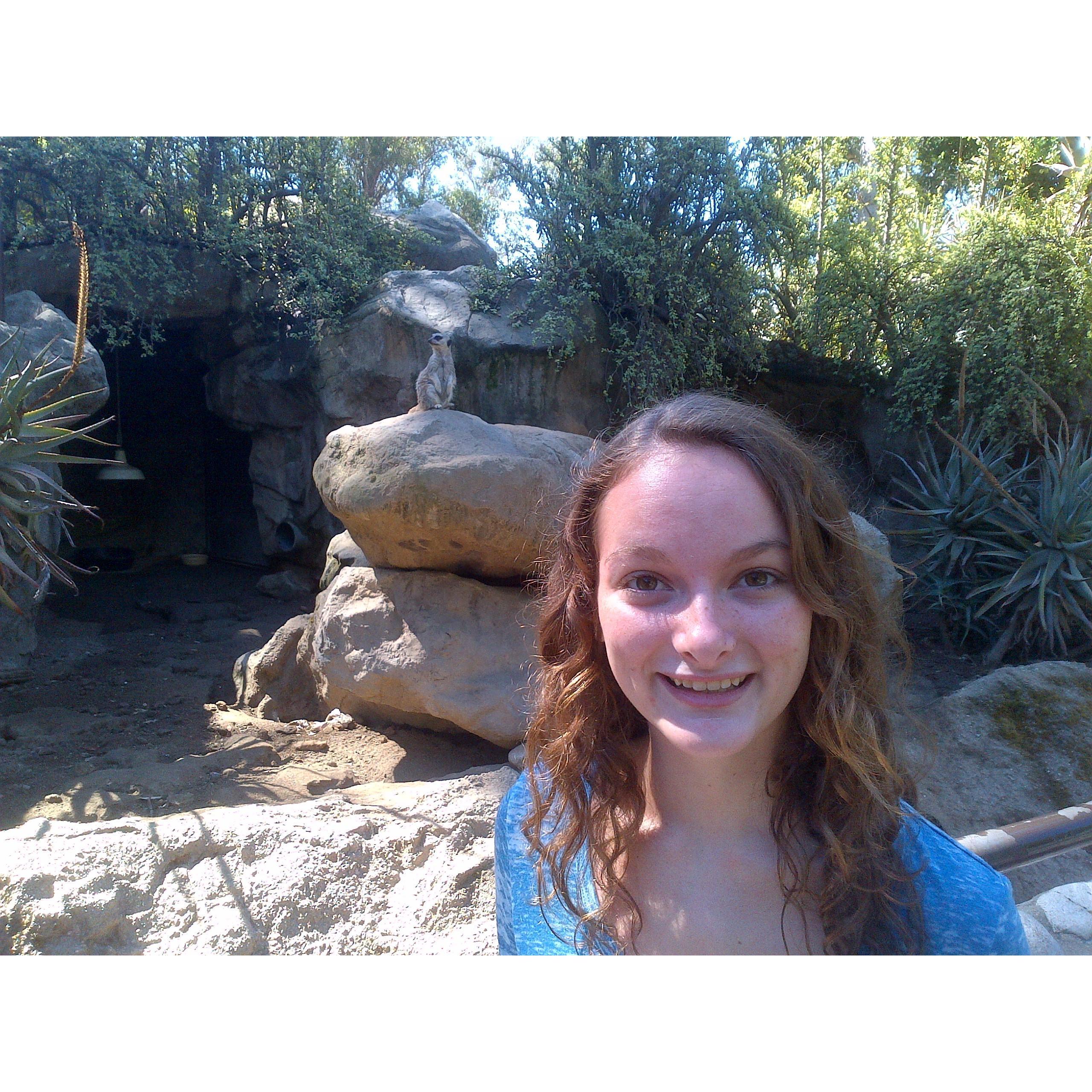 Zoo with dad and her favorite animals!
