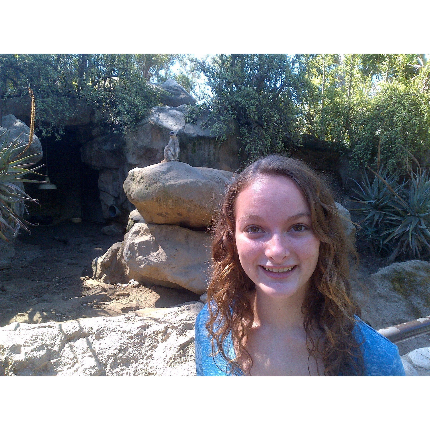 Zoo with dad and her favorite animals!