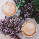 Avant Cycle Cafe