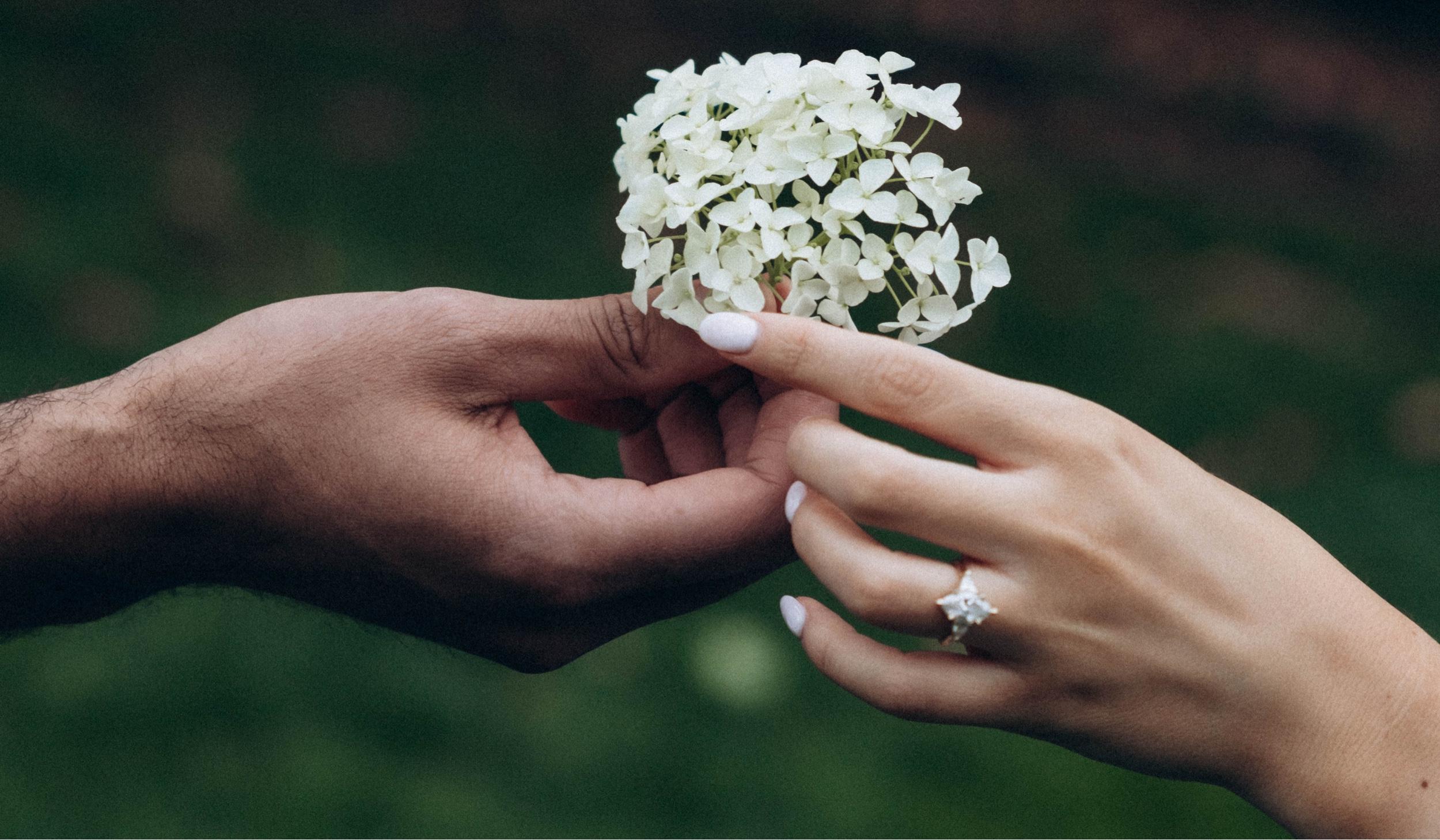 The Wedding Website of Lauren Gunneson and Zachary Blume