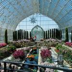 Como Park Zoo & Conservatory