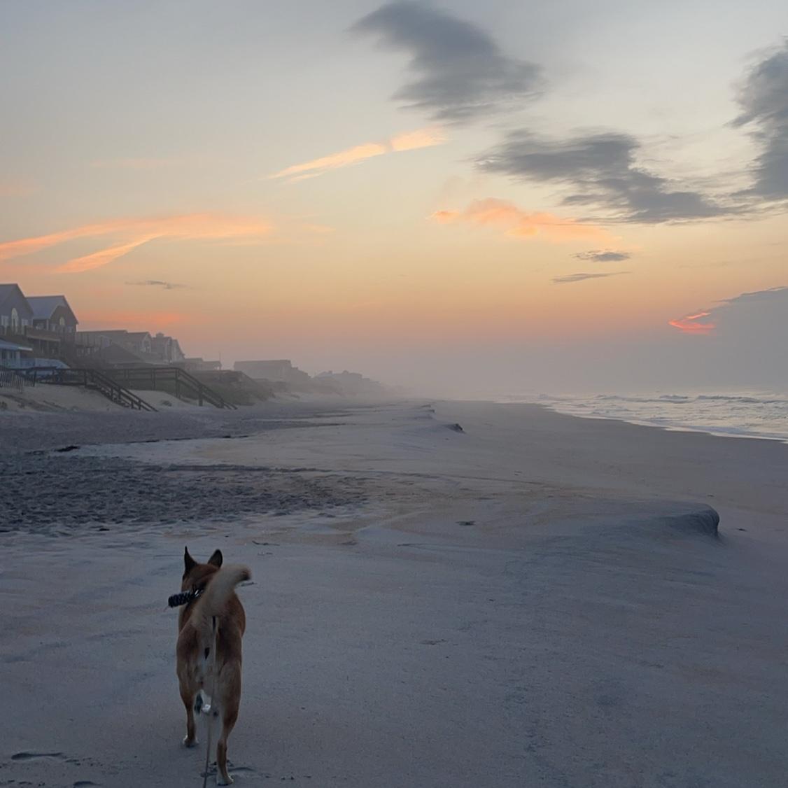 Our first beach trip to Topsail Island, NC! 
-05-28-24-
