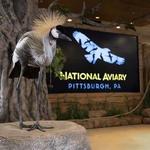 National Aviary
