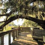 Coastal Discovery Museum