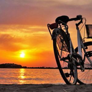 Beach Bike Rentals for 2 - Folly Beach