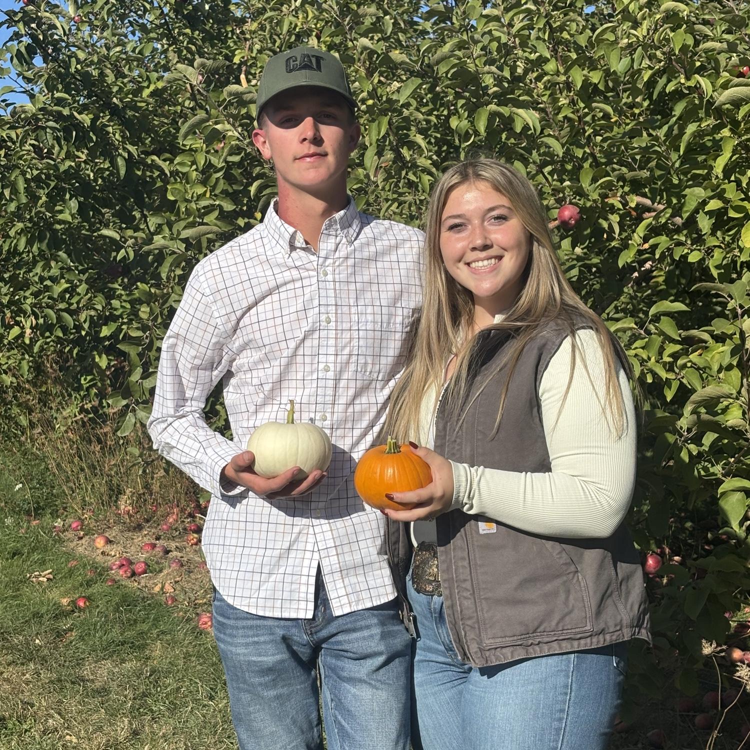 Pumpkin picking 🎃