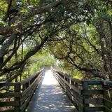 Jockey's Ridge State Park