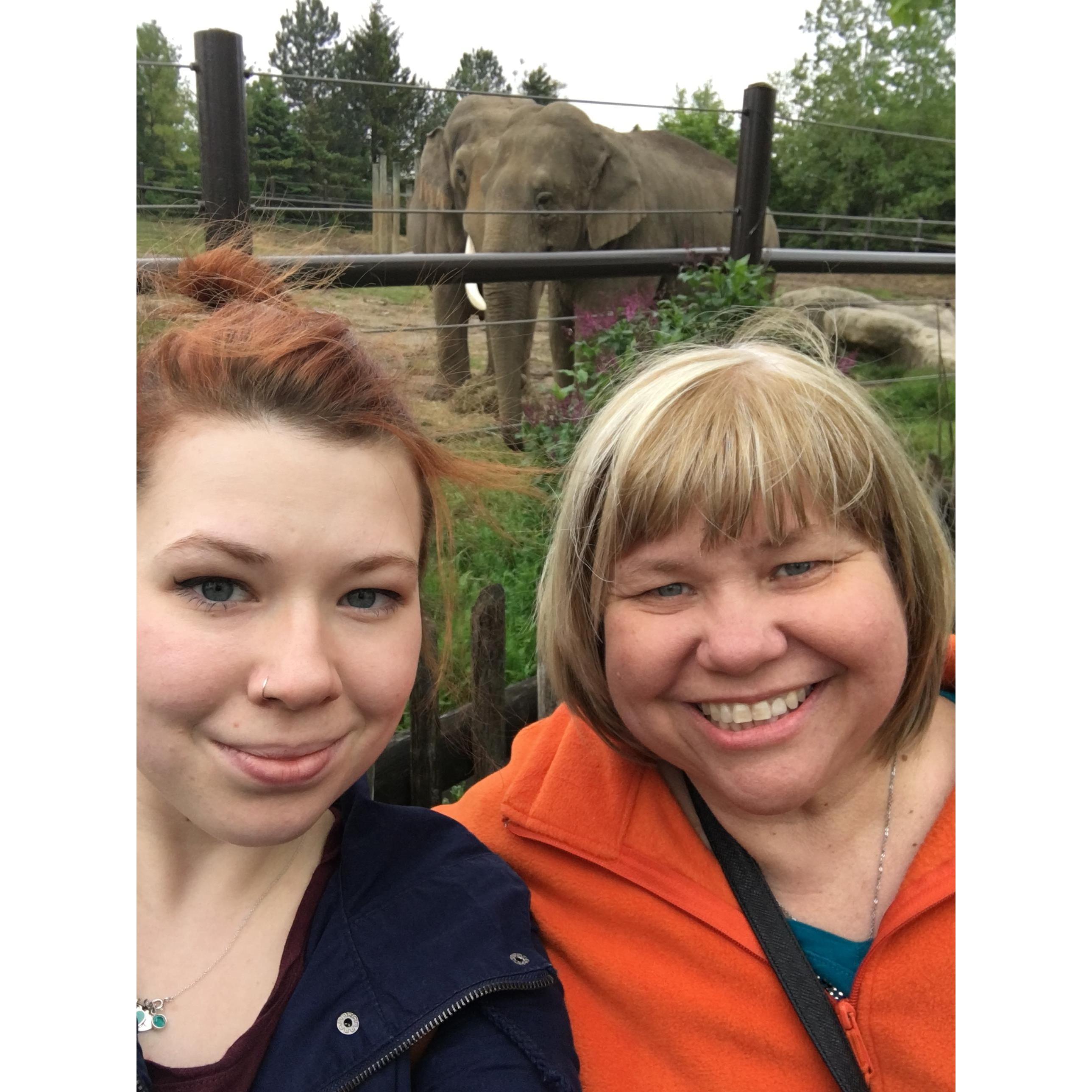 Family trip to the zoo!