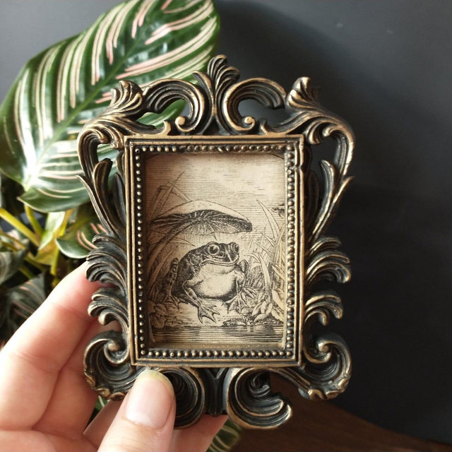 Vintage Happy Frog Print in Baroque Frame - Antique Funny Frog Art Framed In Rectangular Scrollwork Frame