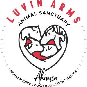 Donation to Luvin Arms (Animal Sanctuary)