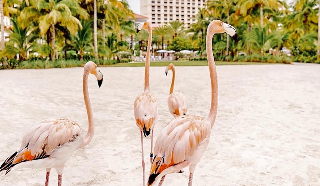 Hero Slideshow Image 5