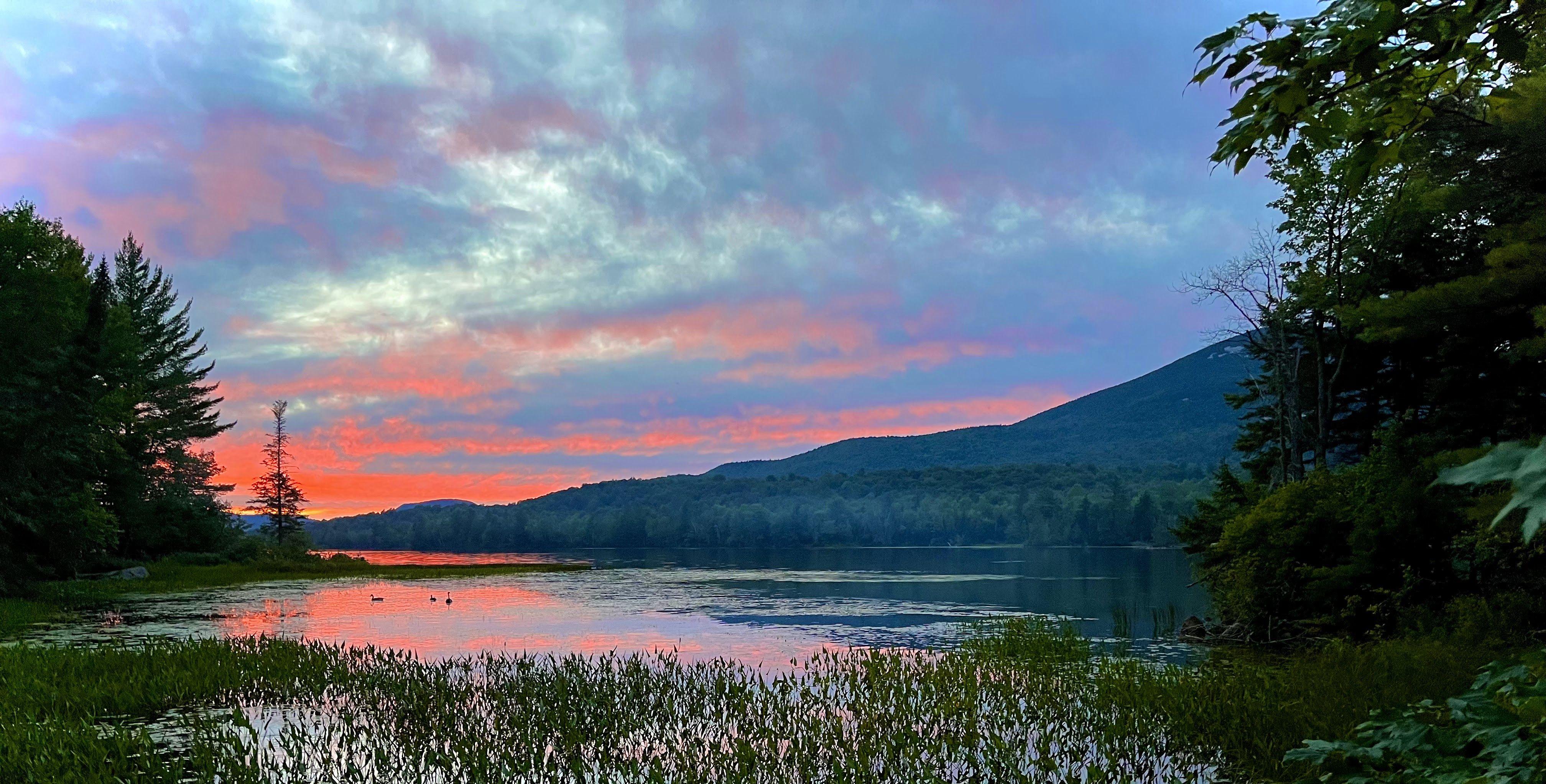 The Wedding Website of Moira Miller and Sean Harpst