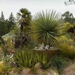 University of California Botanical Garden