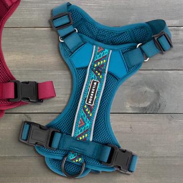 Dog Harness - Small, Pacific Blue