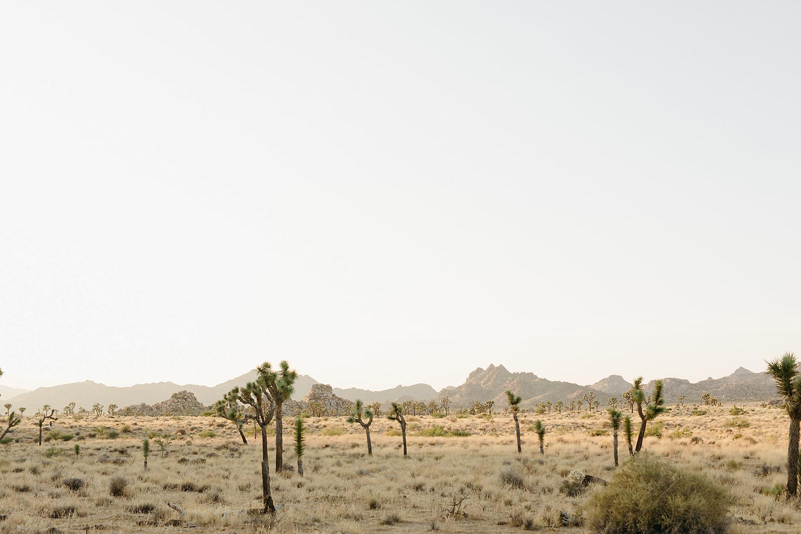 The Wedding Website of Barrett Lane and Aaron Kozuki