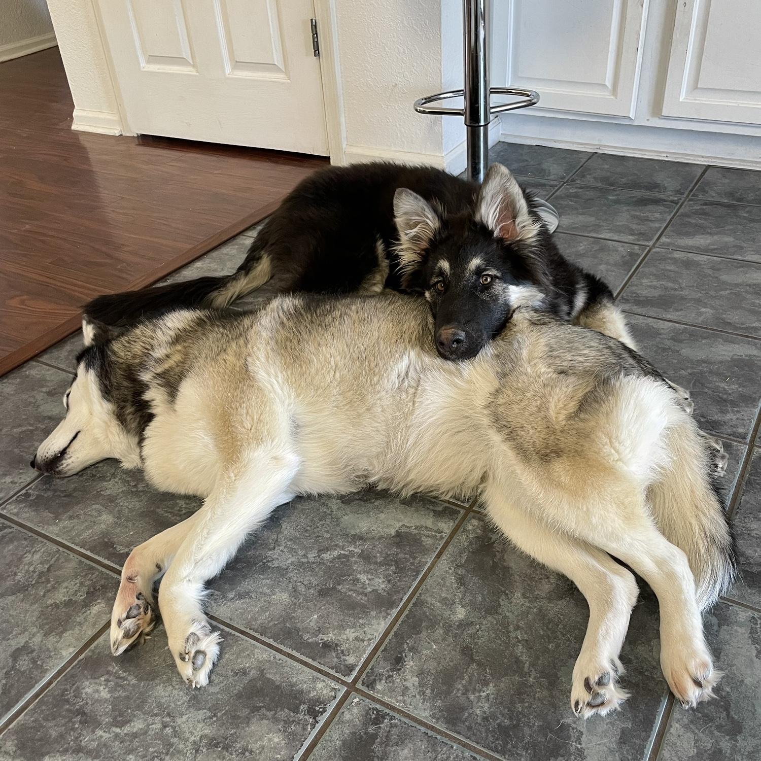 Togi has no personal boundaries with anyone but especially Athena
