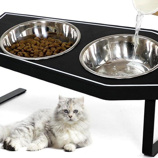 Cat Food Bowls Elevated, Gothic Cat Bowls, Raised Cat Bowls for Indoor Cats with Non-Slip Stand & Wood Board, Stainless Steel and Whisker Friendly Food Bowls