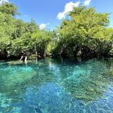 Indigenous Eyes Ecological Reserve (Natural Lagoons)