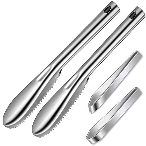 SUPERBEAR 4 Pieces Fish Scaler Remover Fish Scaler Brush Set with 58 Stainless Steel Sawtooth Easily Remove Fish Scales Skin Cleaning Tool Scraper for Chef and Home Cooks