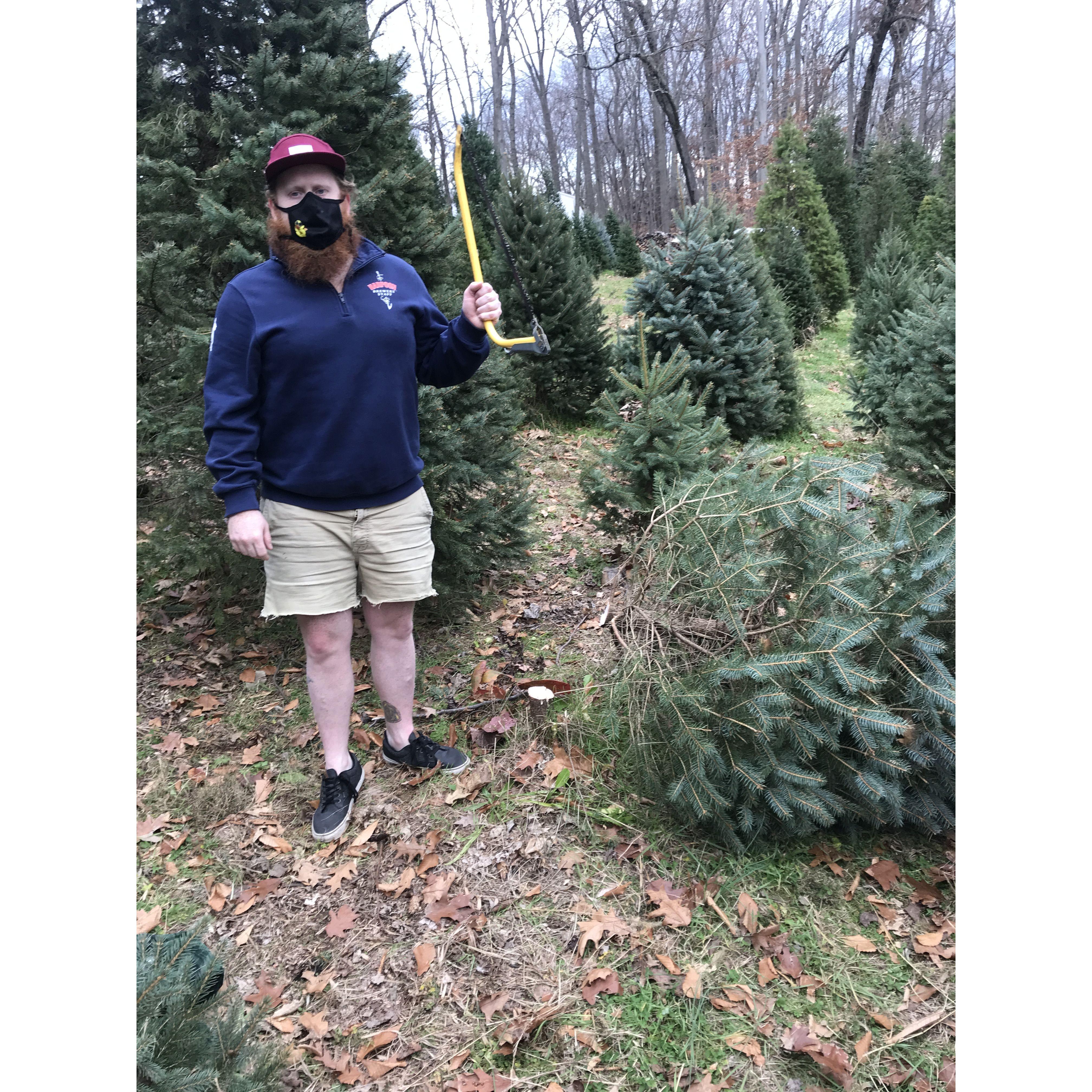 Our first Christmas tree for our apartment in New Haven, cut down by the Tim himself! However, the tree didn't last long in our tiny apartment with Tim's allergies.