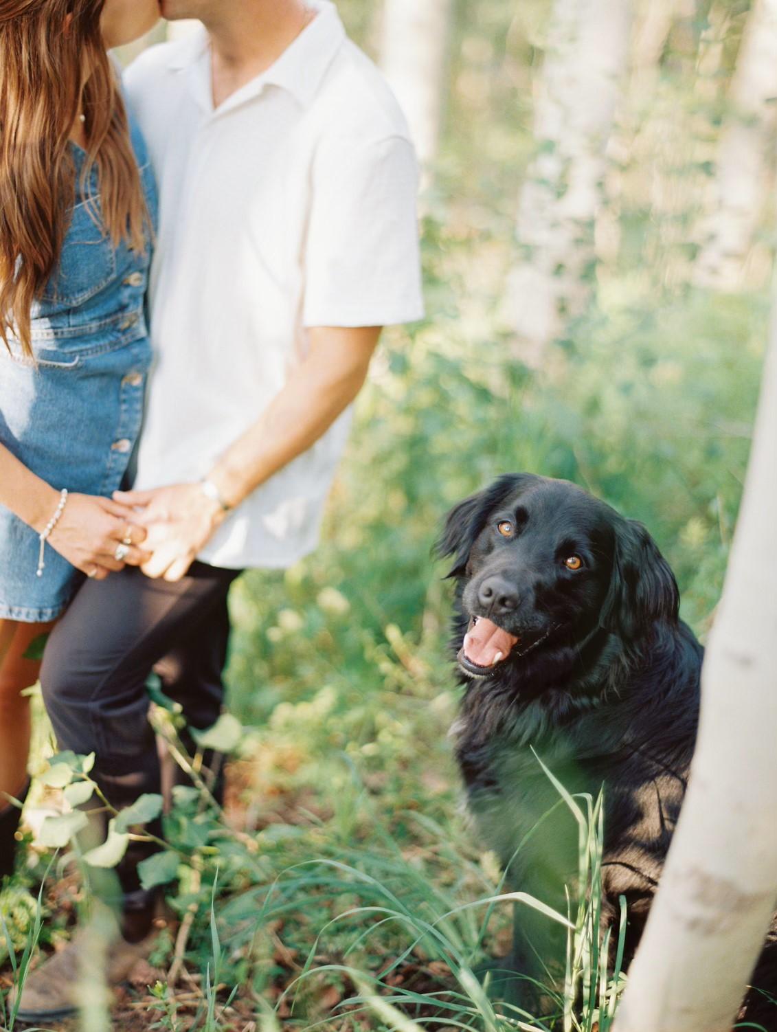The Wedding Website of Rosie Davies and Chris Libertini