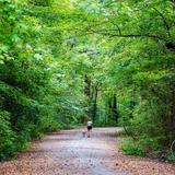 Overton Park