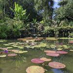 Fairchild Tropical Botanic Garden