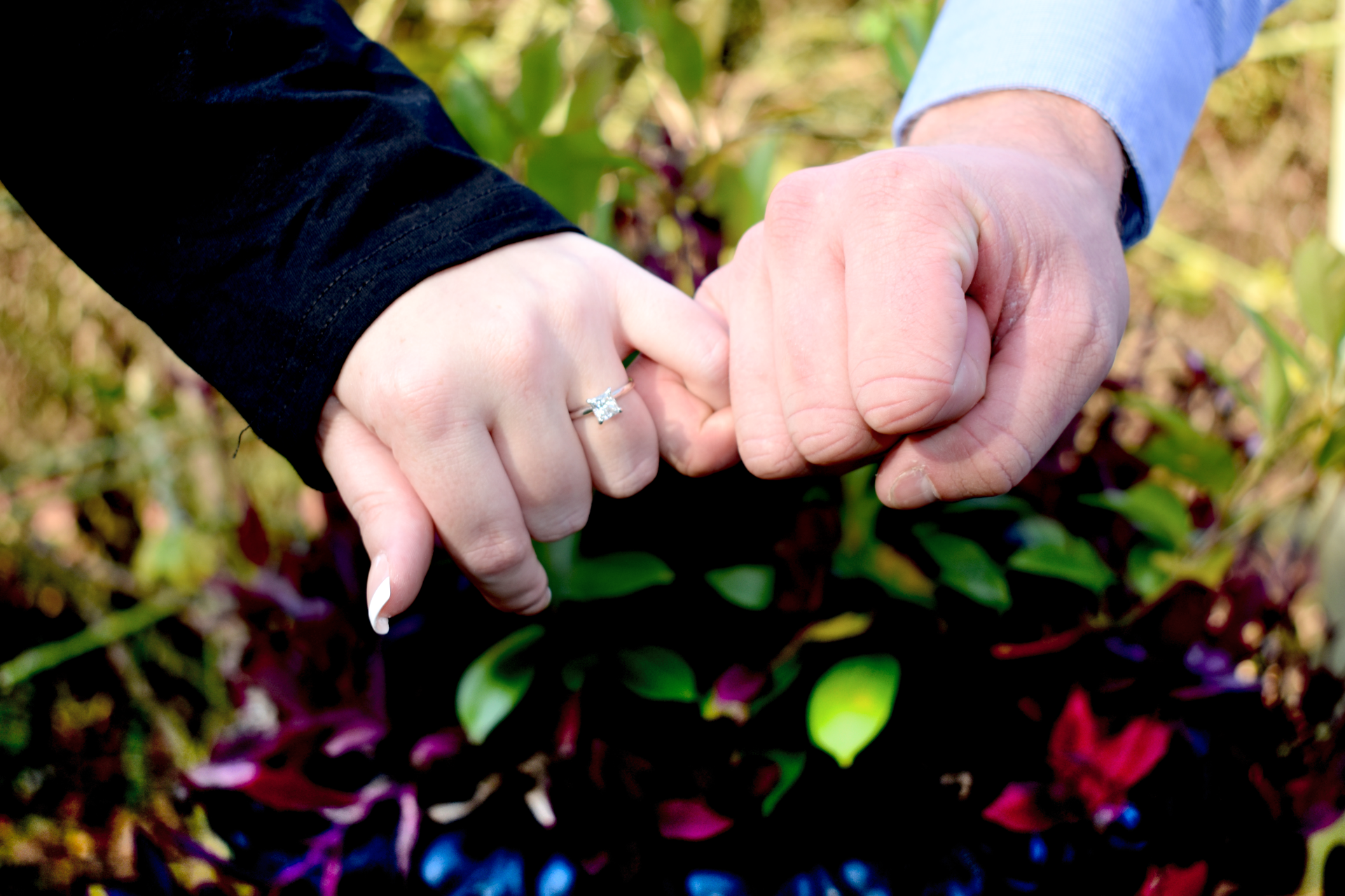 The Wedding Website of Alexis Simmons and Jacob Ledbetter