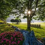 Innisfree Garden