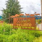 Alaska Wildlife Conservation Center