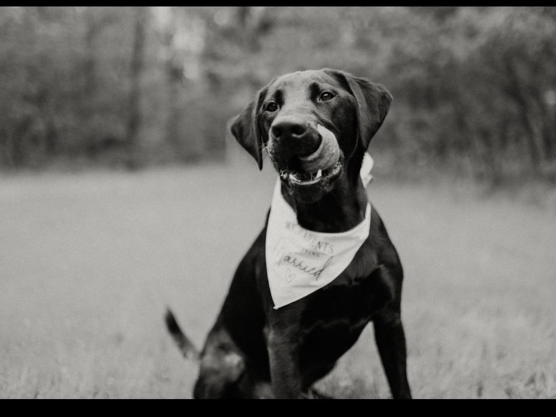The Wedding Website of Josh Ackerman and Jaycie Johnson
