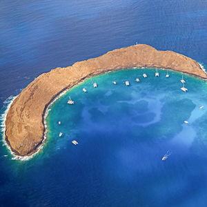 Molokini Snorkeling Tour