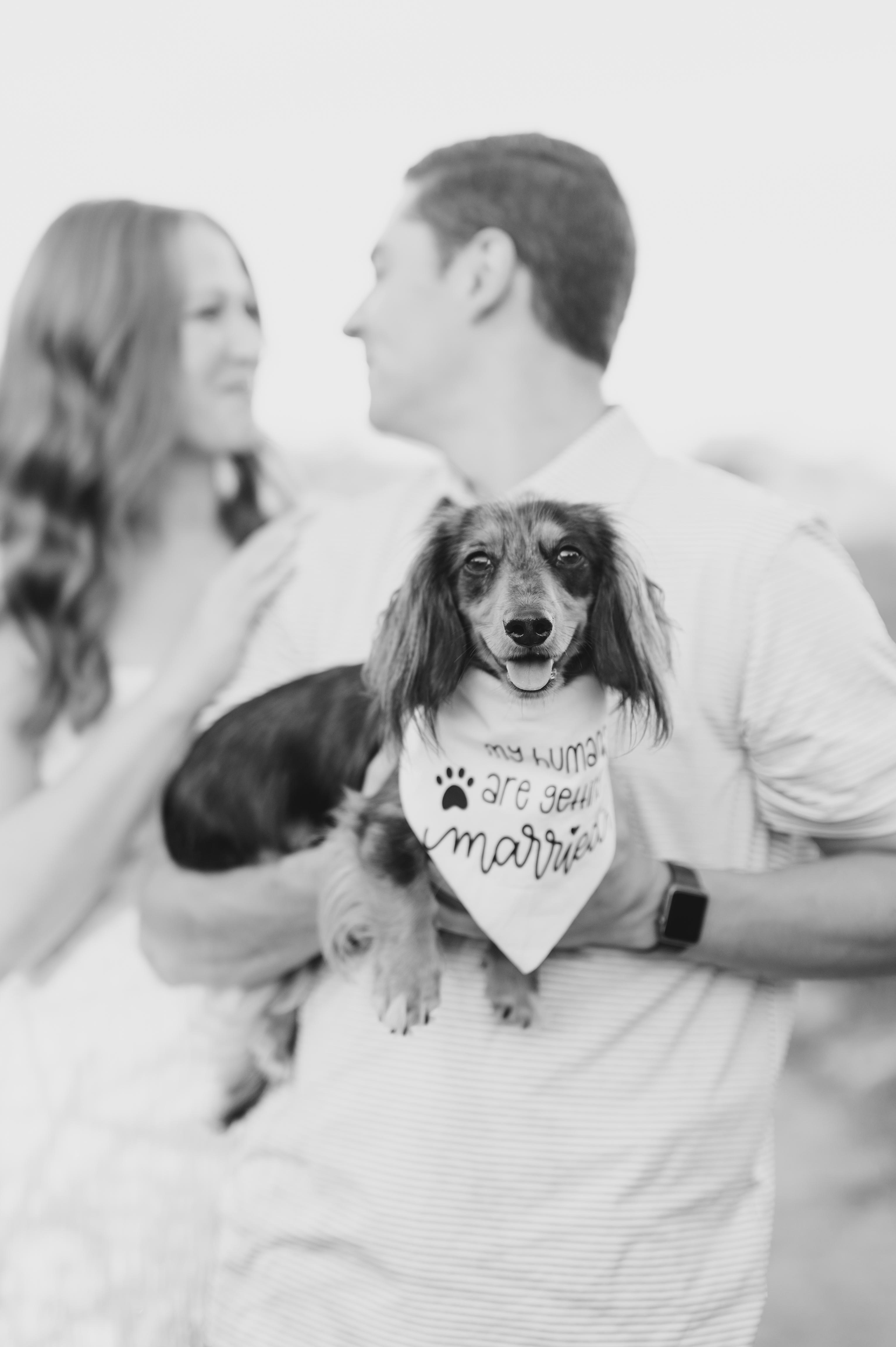 The Wedding Website of Devin Tilley and Tyler Kemmy