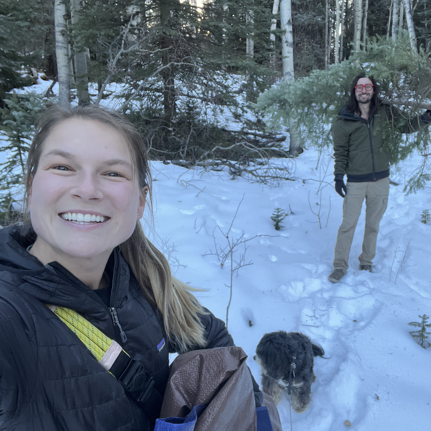 getting our first Christmas tree 
Dec 2021