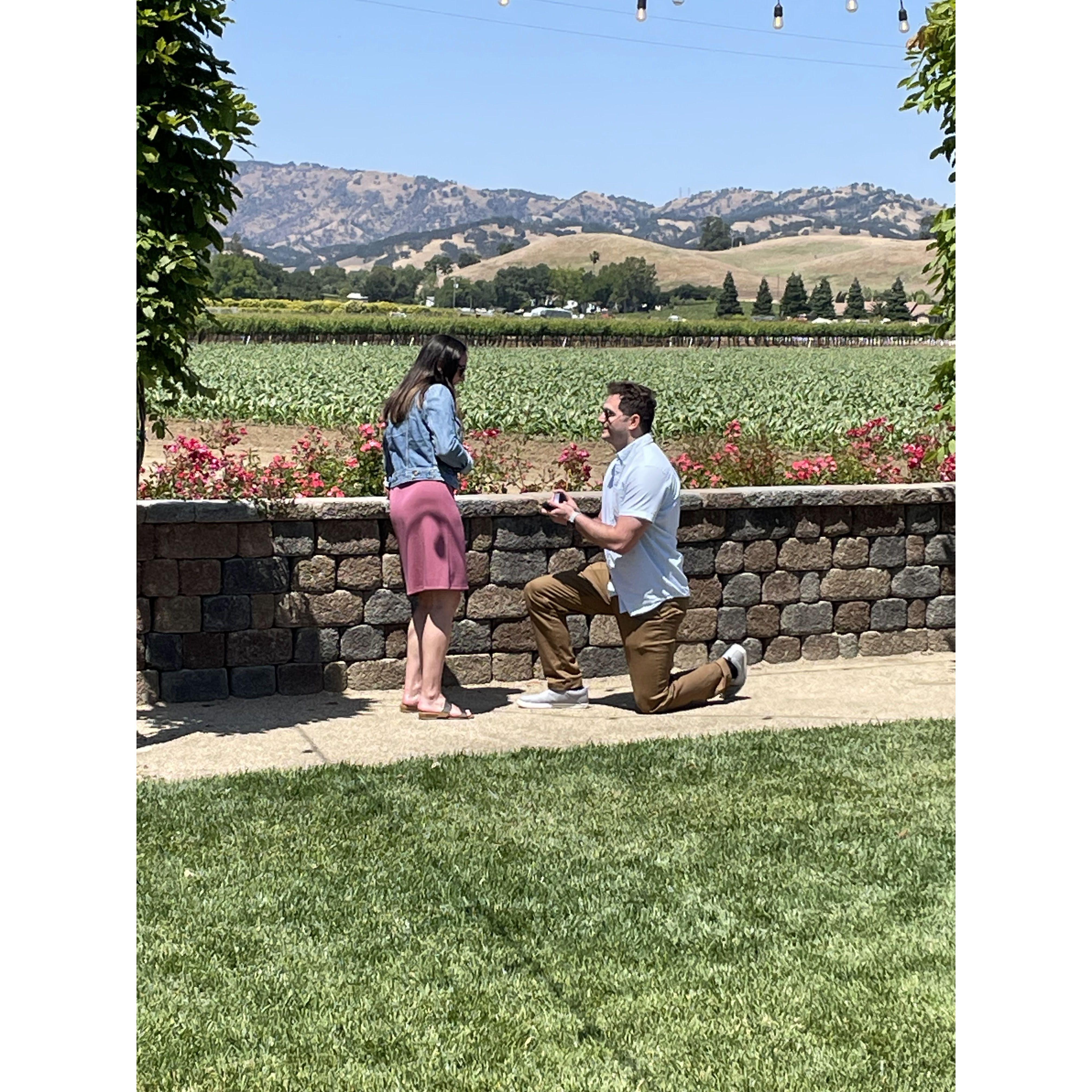 The One Where Tyler Popped the Question! Wooden Valley Winery - Fairfield, CA. May 2023