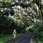 Gemini Springs Park